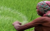 इस समाचार कहानी की विशेष छवि