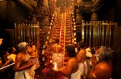 SABARIMALA (KERALA), JULY 18 (UNI) Padi Pooja, a ritualistic worship of the 18 steps at the Lord Ayyappa Swamy Temple, led by Chief Priest Brahmashri Kantararu Brahmadathan, is taking place in Sabarimala on Friday UNI PHOTO-98U SABARIMALA (KERALA), JULY 18 (UNI) Padi Pooja, a ritualistic worship of the 18 steps at the Lord Ayyappa Swamy Temple, led by Chief Priest Brahmashri Kantararu Brahmadathan, is taking place in Sabarimala on Friday UNI PHOTO-98U
